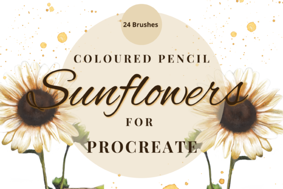Procreate Coloured Pencil Sunflowers Guide